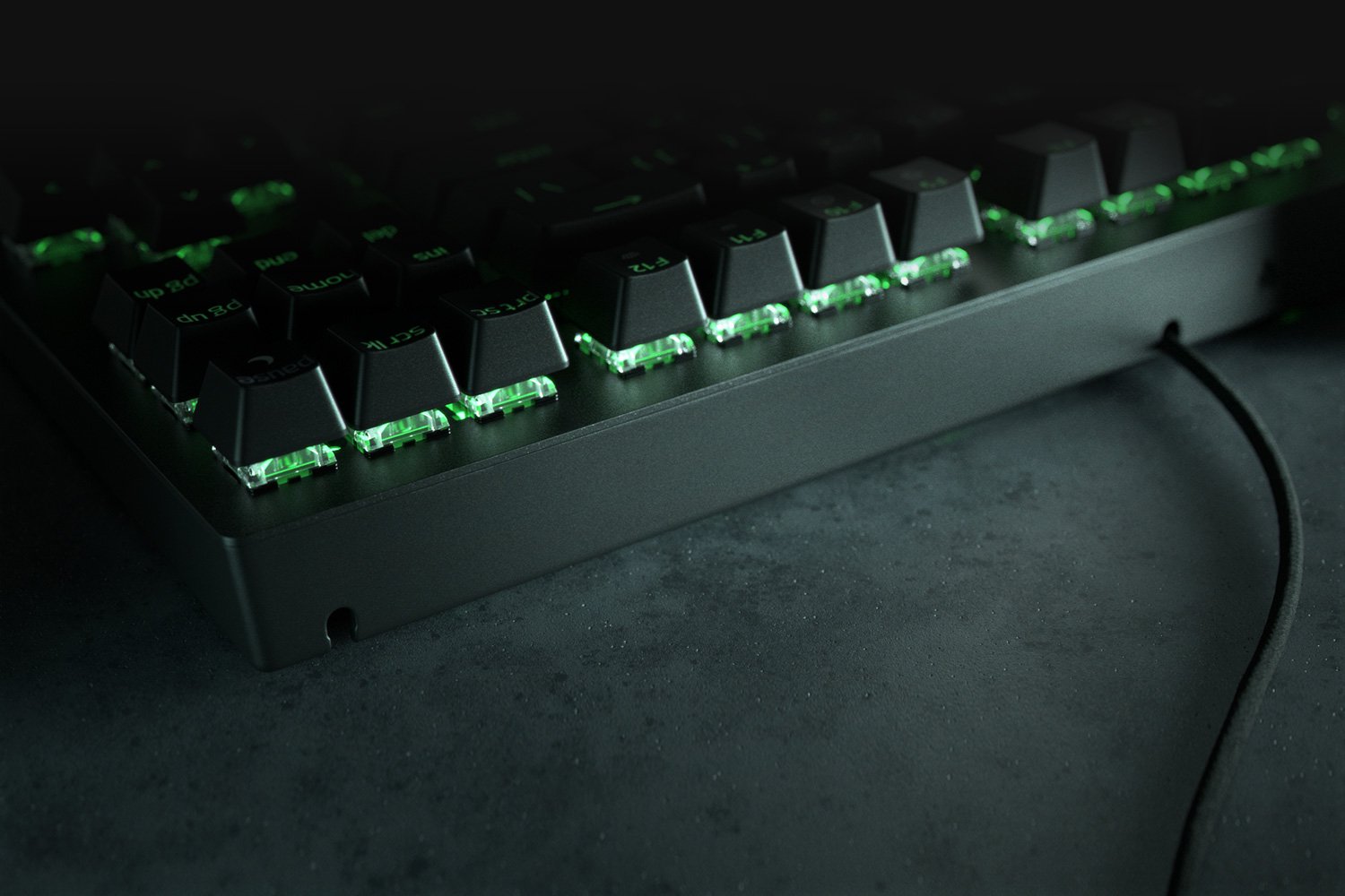 Razer BlackWidow V3 Tenkeyless (Green Switch)